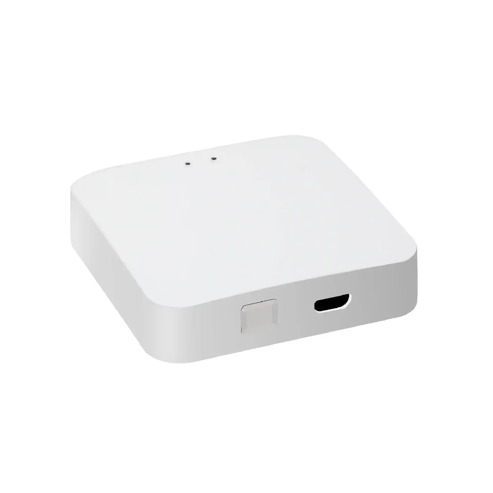 IoT Gateway